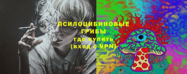 стафф Богородск